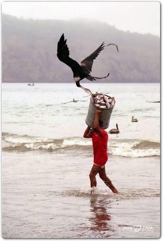 momeli - la-pescuit.jpg